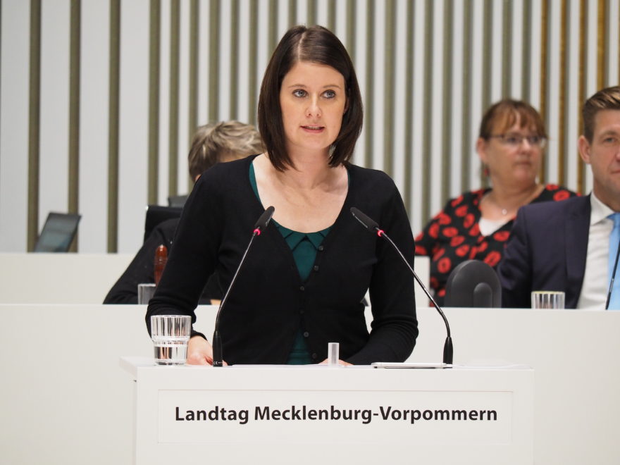 Aus Dem Landtag Ann Christin Von Allworden